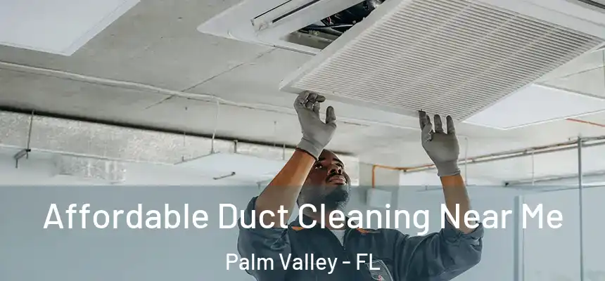 Affordable Duct Cleaning Near Me Palm Valley - FL