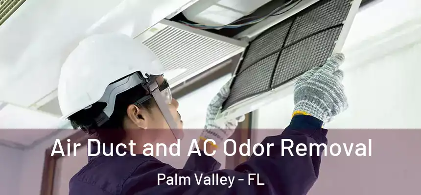 Air Duct and AC Odor Removal Palm Valley - FL