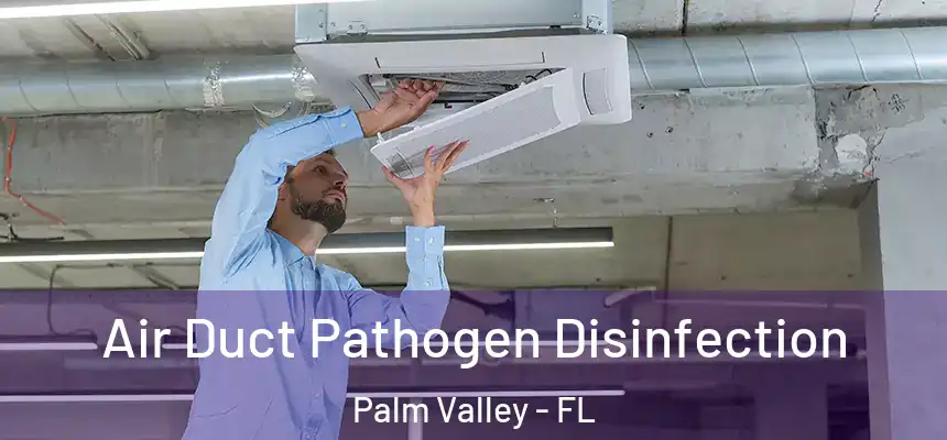 Air Duct Pathogen Disinfection Palm Valley - FL