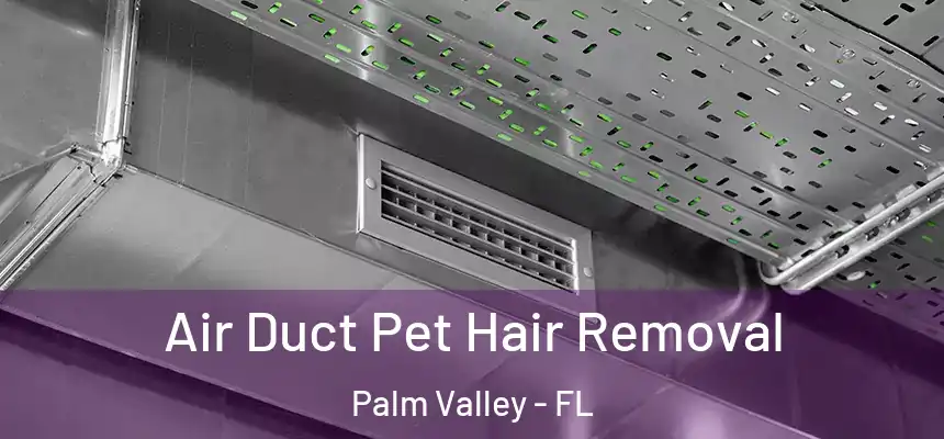Air Duct Pet Hair Removal Palm Valley - FL