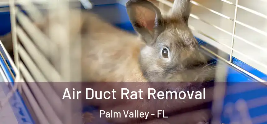 Air Duct Rat Removal Palm Valley - FL