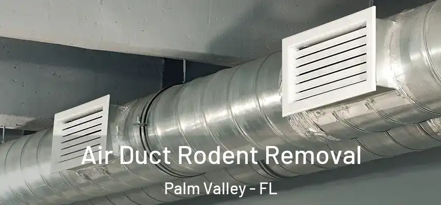 Air Duct Rodent Removal Palm Valley - FL