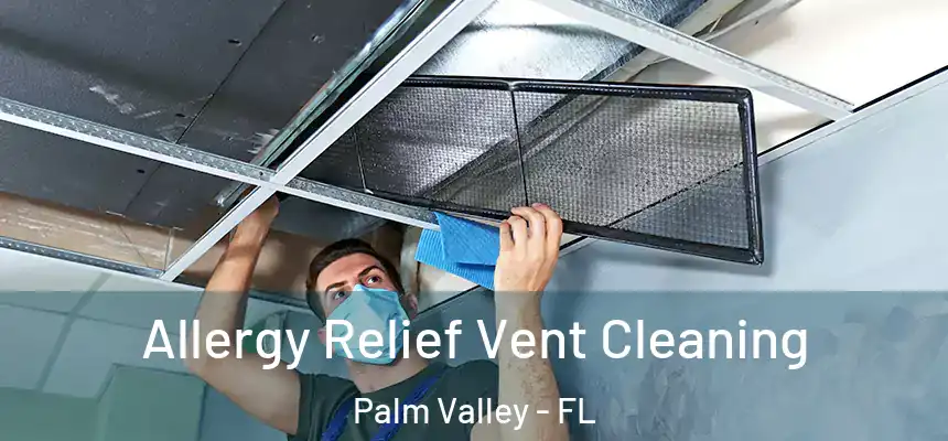 Allergy Relief Vent Cleaning Palm Valley - FL