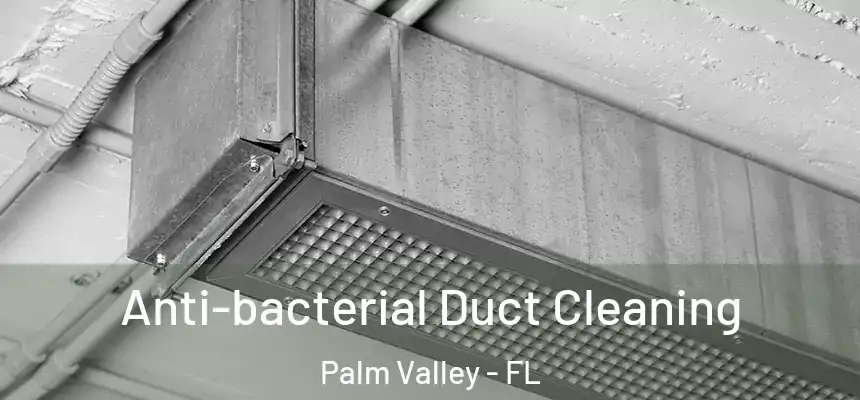 Anti-bacterial Duct Cleaning Palm Valley - FL