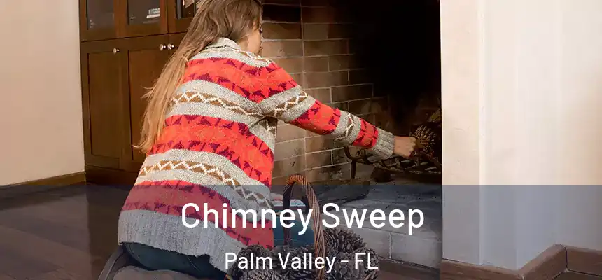 Chimney Sweep Palm Valley - FL