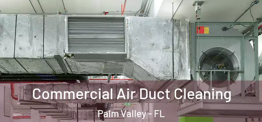 Commercial Air Duct Cleaning Palm Valley - FL