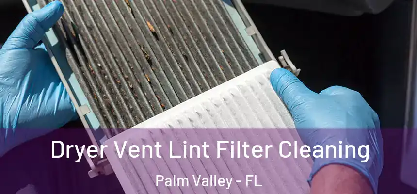 Dryer Vent Lint Filter Cleaning Palm Valley - FL