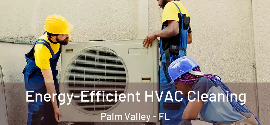 Energy-Efficient HVAC Cleaning Palm Valley - FL