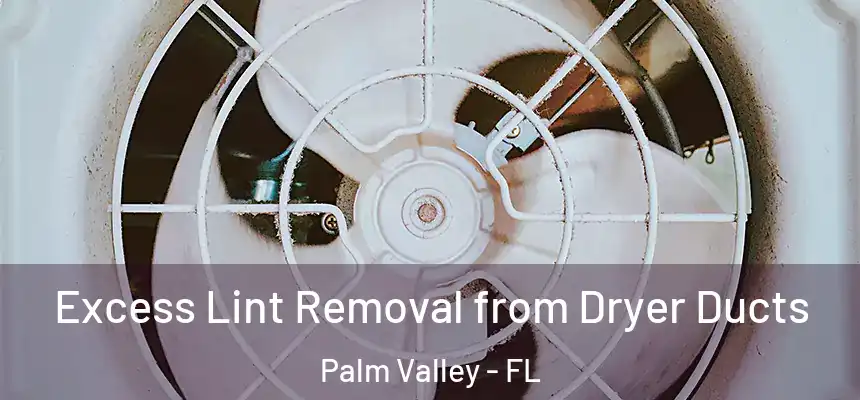 Excess Lint Removal from Dryer Ducts Palm Valley - FL