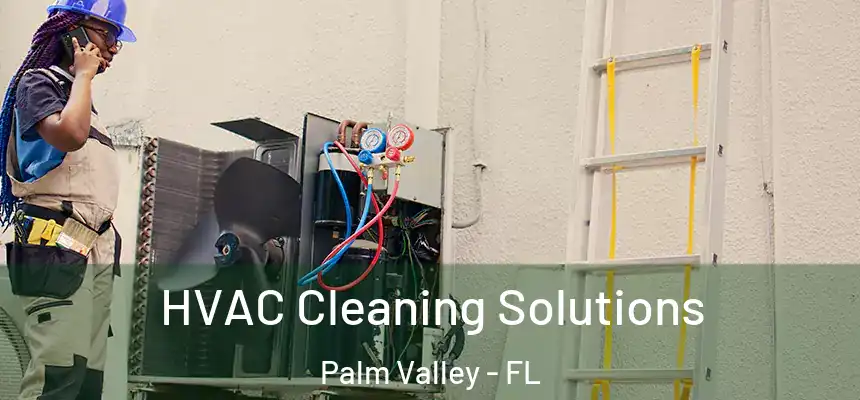 HVAC Cleaning Solutions Palm Valley - FL