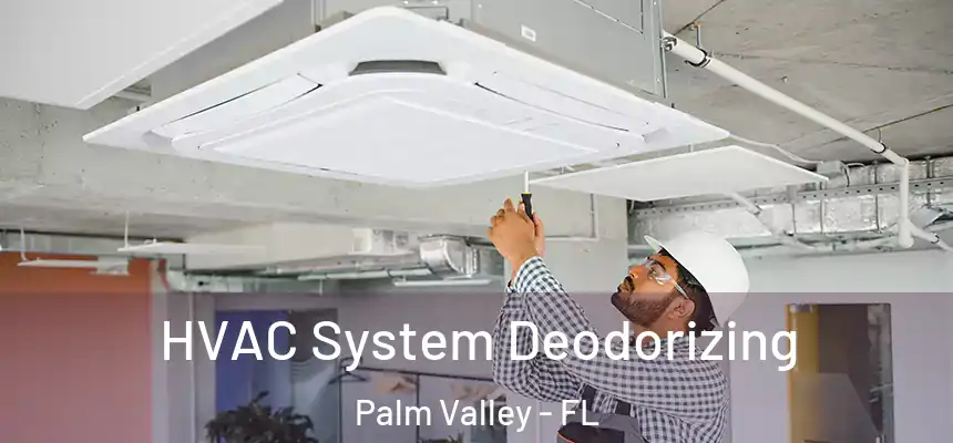 HVAC System Deodorizing Palm Valley - FL