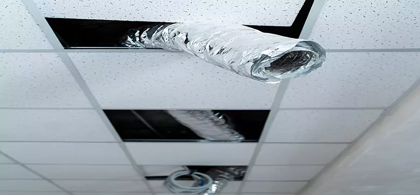 Affordable HVAC Sanitizing After Pest Removal in Palm Valley