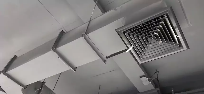 Restorative Allergy Relief Vent Cleaning – Coil, Blower & Housing Detail in Palm Valley