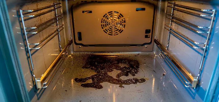 Our Dryer Vent Mold Cleaning Services in Palm Valley, FL