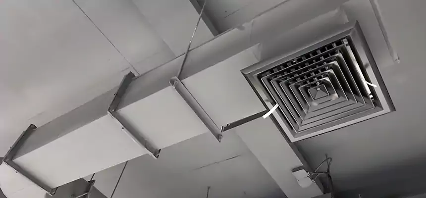 Our Pest Removal From Ducts Services in Palm Valley, FL