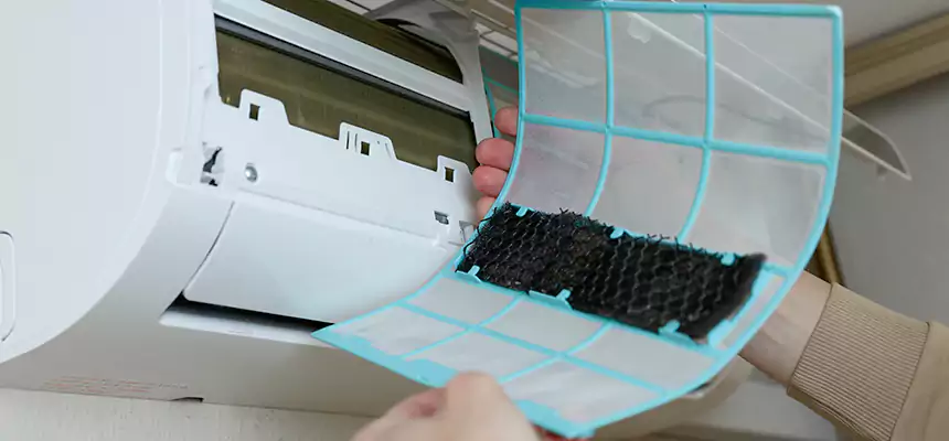 Gentle Ductwork Odor-Control Pet Dander Duct Cleaning in Palm Valley, FL