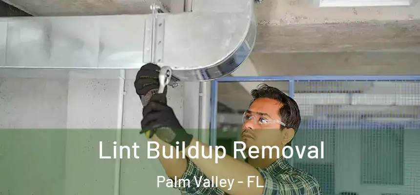 Lint Buildup Removal Palm Valley - FL