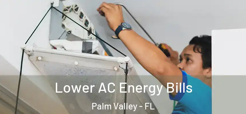 Lower AC Energy Bills Palm Valley - FL