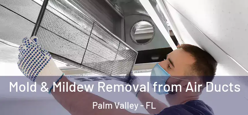 Mold & Mildew Removal from Air Ducts Palm Valley - FL