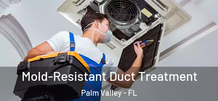 Mold-Resistant Duct Treatment Palm Valley - FL
