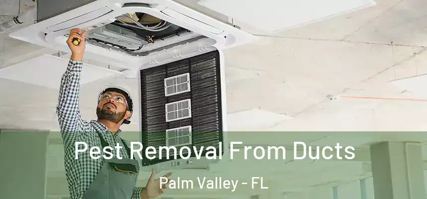 Pest Removal From Ducts Palm Valley - FL