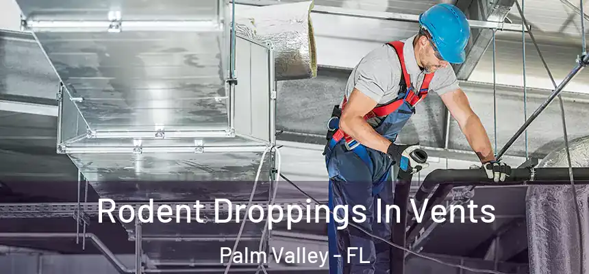 Rodent Droppings In Vents Palm Valley - FL