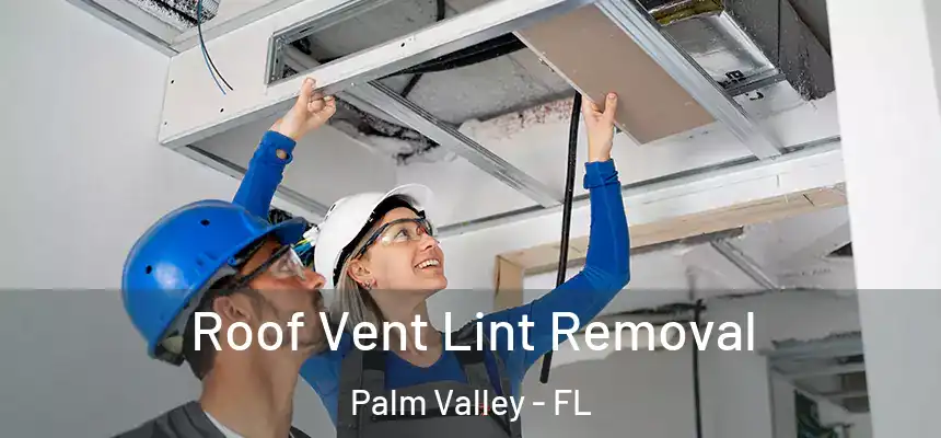 Roof Vent Lint Removal Palm Valley - FL