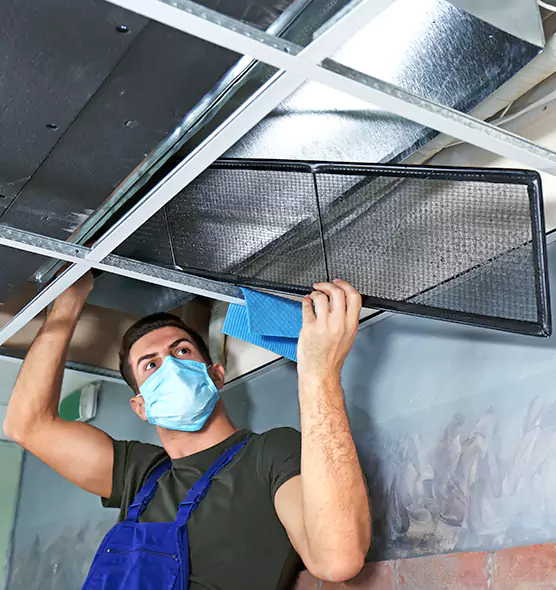 About Air Duct Bacteria Removal in Palm Valley