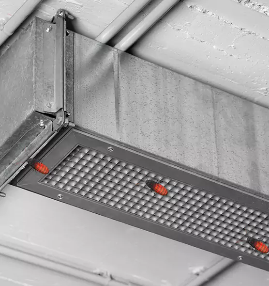 About Air Duct Cockroach Removal in Palm Valley, FL