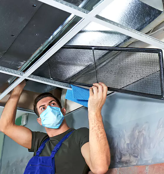 Professional Air Duct Pollen Cleaning in Palm Valley, FL