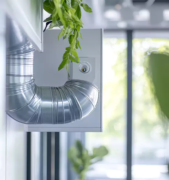 Professional Eco-Safe Dryer Vent Cleaning in Palm Valley, FL