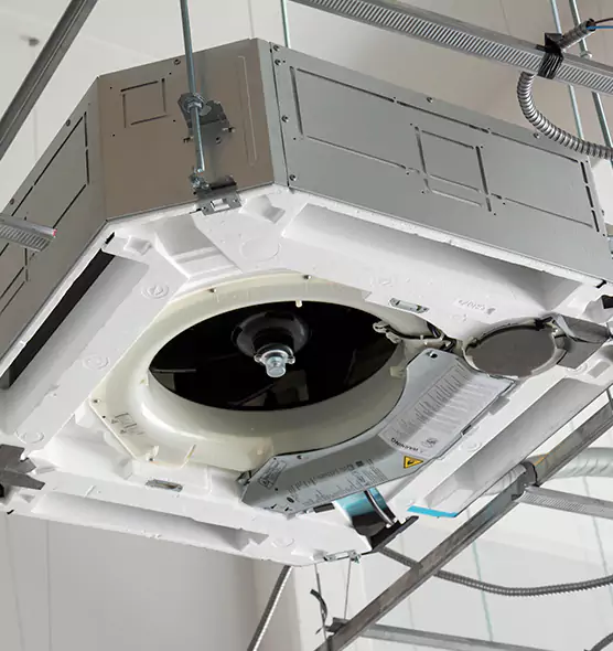 Professional Roof Vent Lint Removal Palm Valley, FL