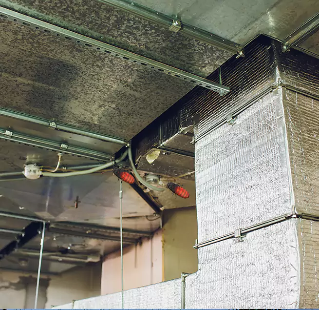 Why Homeowners & Businesses Trust Us in Palm Valley, FL?