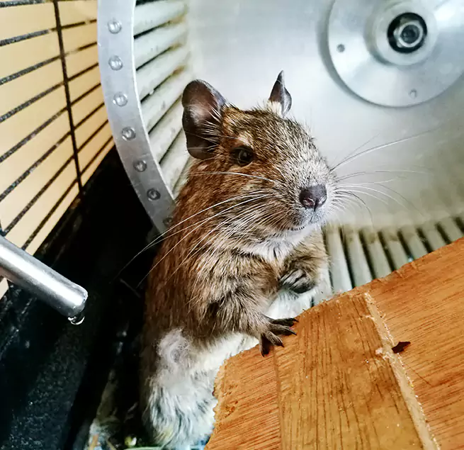 Why Homeowners & Businesses Trust Us Palm Valley, FL?