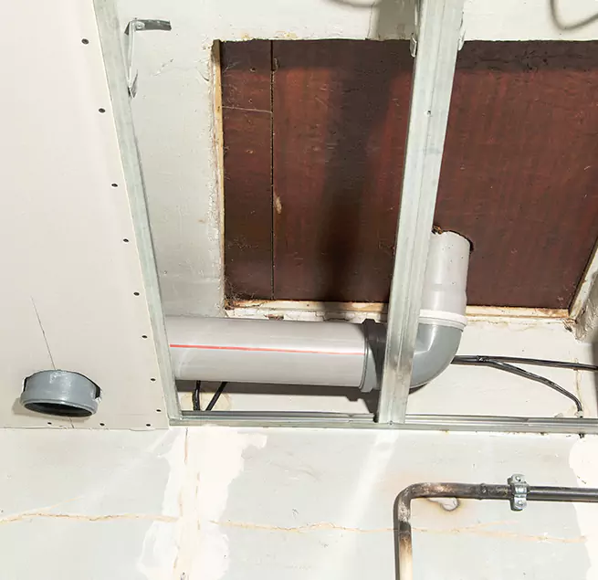 Why Homeowners & Businesses Trust Us in Palm Valley, FL?