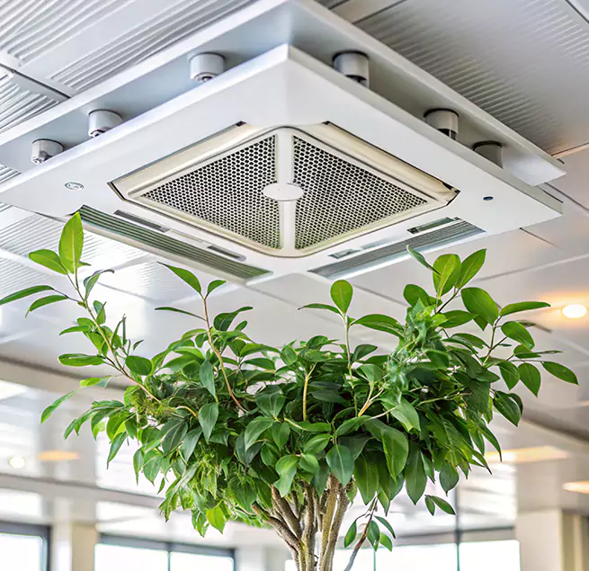 Why Homeowners & Businesses Trust Us in Palm Valley, FL?