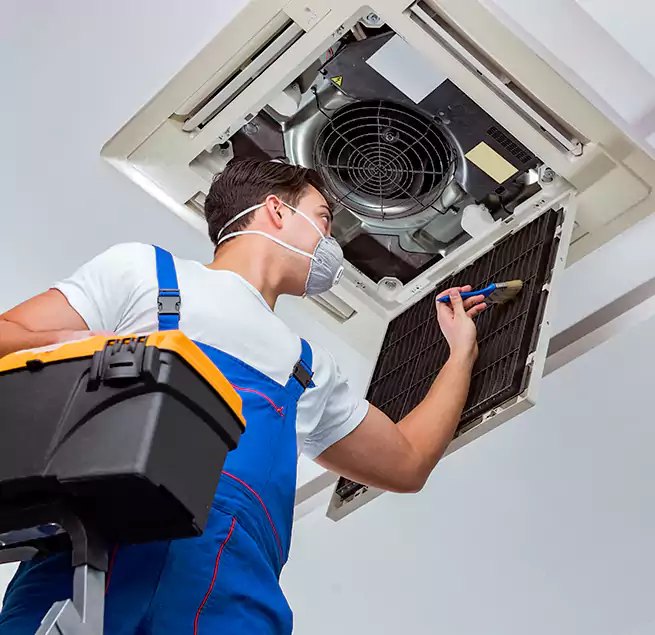 Why Homeowners & Businesses Trust Us in Palm Valley, FL?