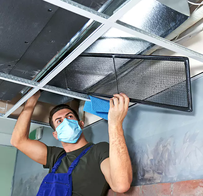 Why Homeowners Businesses Trust Us in Palm Valley, FL?